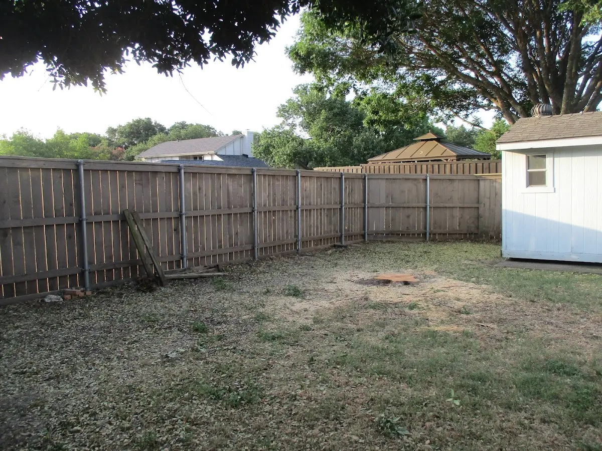 Cleared yard after professional tree removal in Parkhill