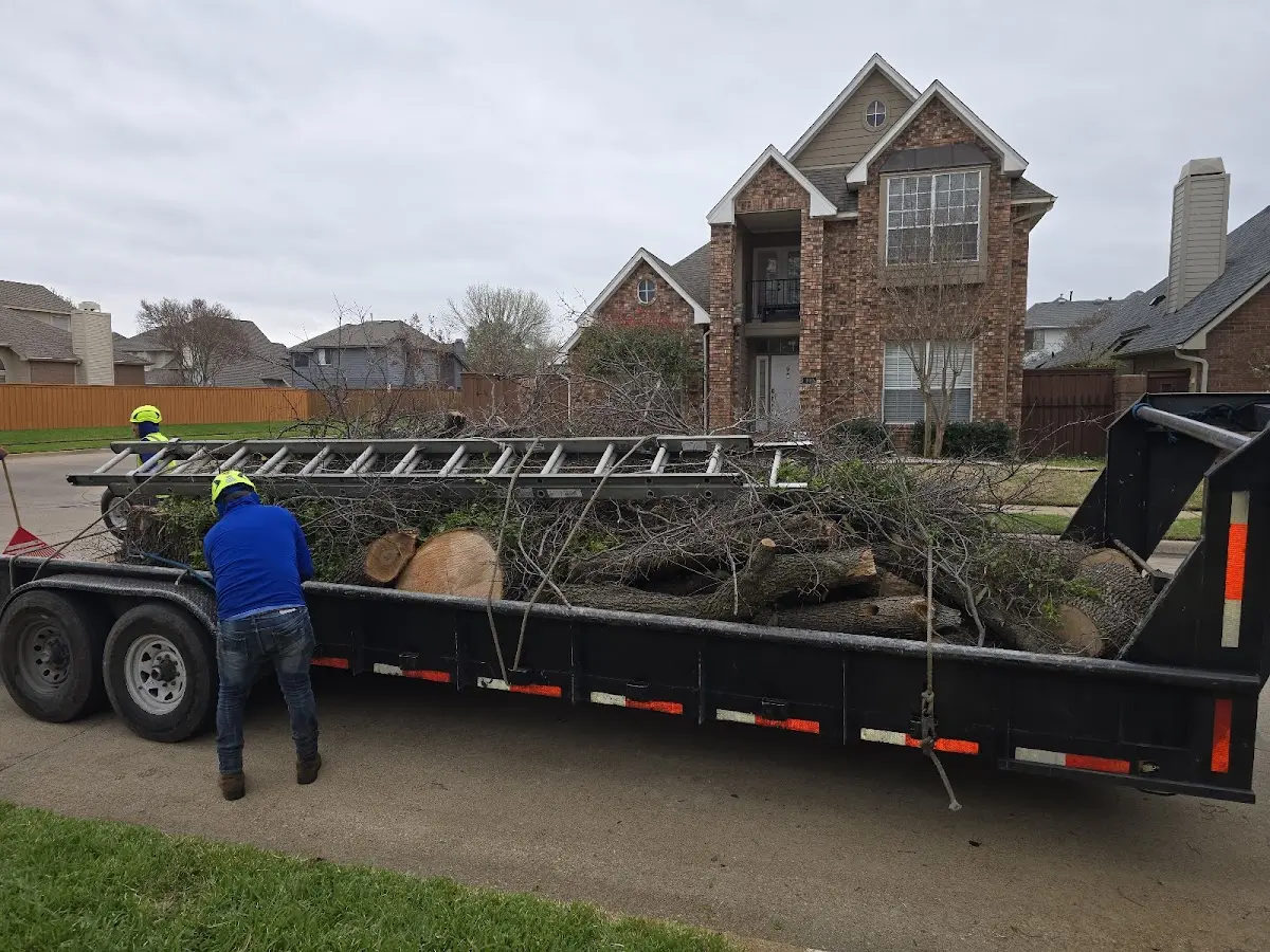 Expert Tree Pest Control with proper safety equipment in Parkhill